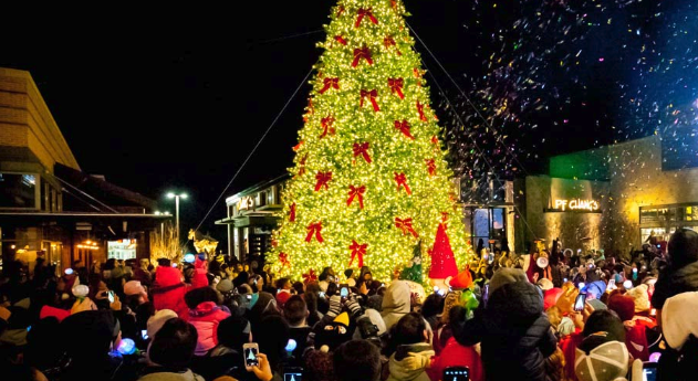 Are Christmas Trees Pagan Symbols?